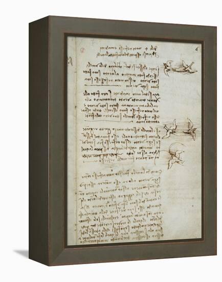 Codex on the Flight of Birds-Leonardo da Vinci-Framed Premier Image Canvas