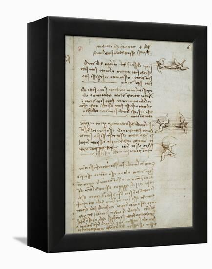 Codex on the Flight of Birds-Leonardo da Vinci-Framed Premier Image Canvas