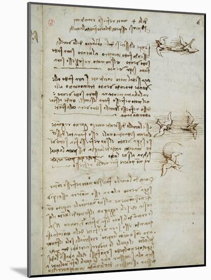 Codex on the Flight of Birds-Leonardo da Vinci-Mounted Giclee Print