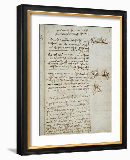 Codex on the Flight of Birds-Leonardo da Vinci-Framed Giclee Print