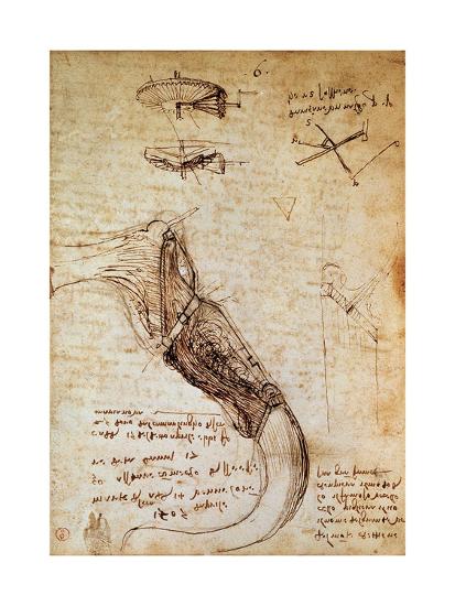 Codex On The Flight Of Birds Giclee Print Leonardo Da Vinci Art Com