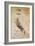 Codex on the Flight of Birds-Leonardo da Vinci-Framed Giclee Print