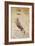 Codex on the Flight of Birds-Leonardo da Vinci-Framed Giclee Print