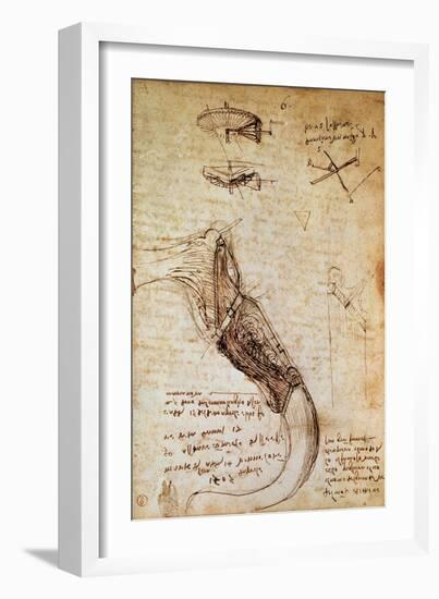 Codex on the Flight of Birds-Leonardo da Vinci-Framed Giclee Print