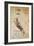 Codex on the Flight of Birds-Leonardo da Vinci-Framed Giclee Print