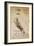 Codex on the Flight of Birds-Leonardo da Vinci-Framed Giclee Print