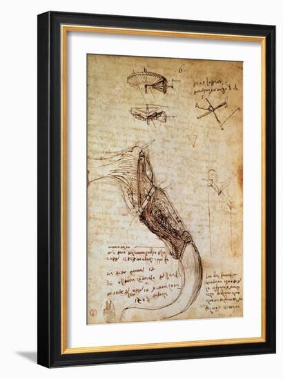 Codex on the Flight of Birds-Leonardo da Vinci-Framed Giclee Print