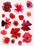 Lovely Poppies Pattern-Cody Alice Moore-Art Print