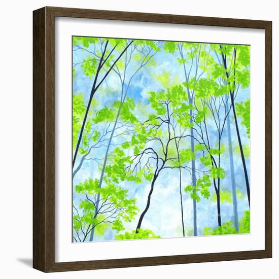 Codys Forest-Herb Dickinson-Framed Photographic Print