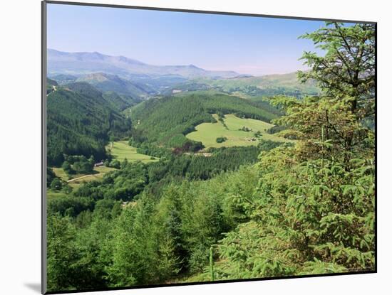 Coed Y Brennin Forest, Near Dolgellau, Snowdonia National Park, Gwynedd, Wales-Duncan Maxwell-Mounted Photographic Print