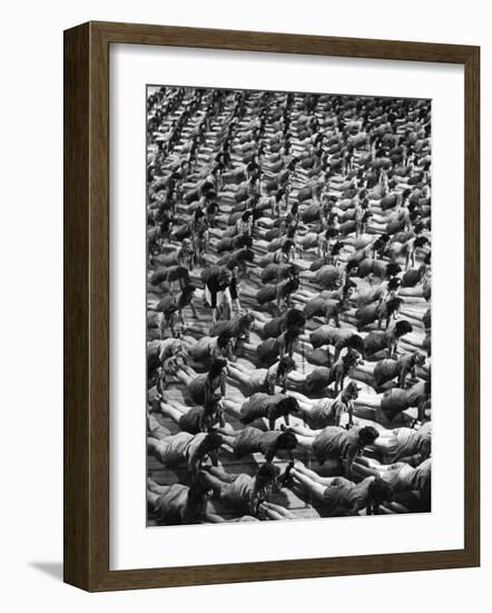 Coeds at the University of New Hampshire Executing Front Fall Exercise on Gymnasium Floor-Alfred Eisenstaedt-Framed Photographic Print