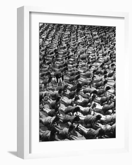 Coeds at the University of New Hampshire Executing Front Fall Exercise on Gymnasium Floor-Alfred Eisenstaedt-Framed Photographic Print