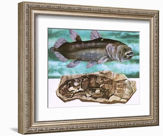 Coelacanth and its Fossil-English School-Framed Giclee Print