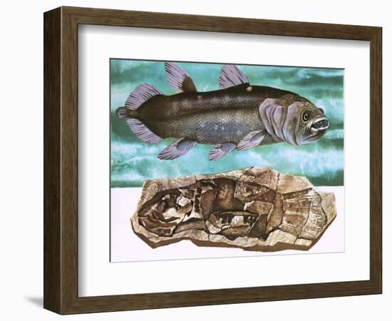 Coelacanth and its Fossil-English School-Framed Giclee Print