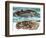 Coelacanth and its Fossil-English School-Framed Giclee Print