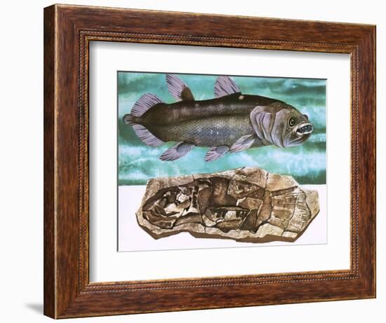 Coelacanth and its Fossil-English School-Framed Giclee Print