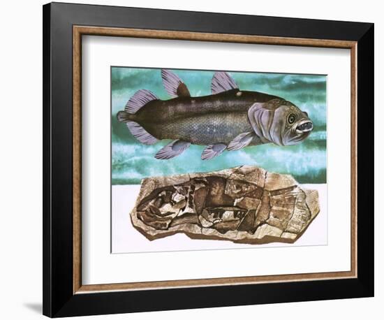 Coelacanth and its Fossil-English School-Framed Giclee Print