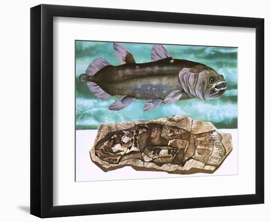 Coelacanth and its Fossil-English School-Framed Giclee Print