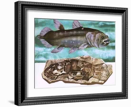 Coelacanth and its Fossil-English School-Framed Giclee Print