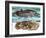 Coelacanth and its Fossil-English School-Framed Giclee Print