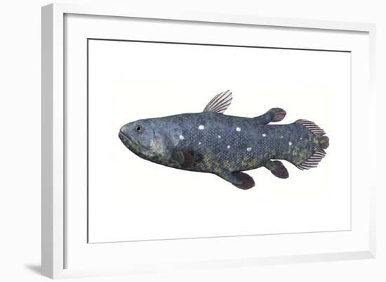 Coelacanth Fish Against White Background-Stocktrek Images-Framed Art Print