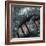 Coelacanth Fish Fin-Peter Scoones-Framed Premium Photographic Print