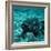 Coelacanth Fish-Peter Scoones-Framed Premium Photographic Print