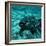 Coelacanth Fish-Peter Scoones-Framed Premium Photographic Print