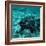 Coelacanth Fish-Peter Scoones-Framed Premium Photographic Print