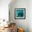 Coelacanth Fish-Peter Scoones-Framed Premium Photographic Print displayed on a wall