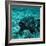 Coelacanth Fish-Peter Scoones-Framed Premium Photographic Print