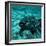 Coelacanth Fish-Peter Scoones-Framed Premium Photographic Print