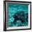 Coelacanth Fish-Peter Scoones-Framed Premium Photographic Print