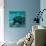 Coelacanth Fish-Peter Scoones-Photographic Print displayed on a wall