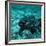 Coelacanth Fish-Peter Scoones-Framed Photographic Print