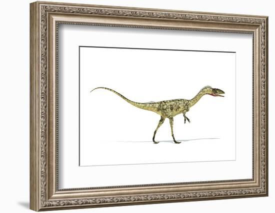 Coelophysis Dinosaur, Artwork-null-Framed Photographic Print