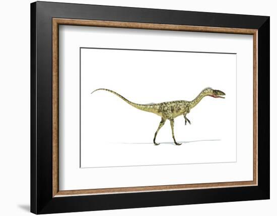 Coelophysis Dinosaur, Artwork-null-Framed Photographic Print