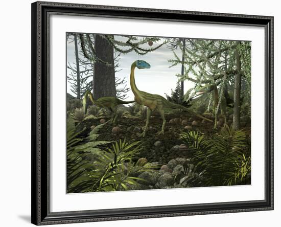 Coelophysis Dinosaurs Walk Amongst a Forest-Stocktrek Images-Framed Photographic Print