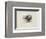 Coeurs Dete-Jean Messagier-Framed Limited Edition