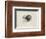 Coeurs Dete-Jean Messagier-Framed Limited Edition