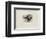 Coeurs Dete-Jean Messagier-Framed Limited Edition