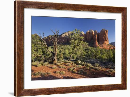 Coffe Pot Rock, Buena Vista Drive, Sedona, Arizona, Usa-Rainer Mirau-Framed Photographic Print