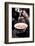 Coffee_005-1x Studio III-Framed Photographic Print