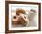 Coffee And Doughnuts-Erika Craddock-Framed Photographic Print