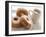 Coffee And Doughnuts-Erika Craddock-Framed Photographic Print