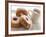 Coffee And Doughnuts-Erika Craddock-Framed Photographic Print