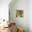 Coffee and Red Bird-Tim Nyberg-Giclee Print displayed on a wall