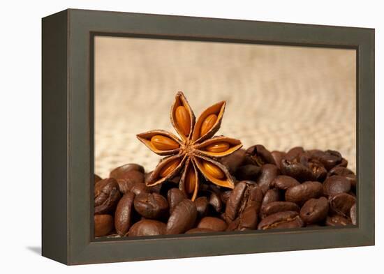 Coffee And Star Anise On Sackcloth Background With Copyspace-wasja-Framed Premier Image Canvas