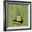 Coffee Art Green-Herb Dickinson-Framed Photographic Print