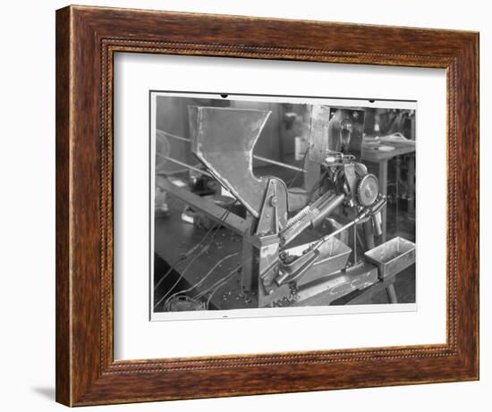 Coffee Bean Sorting Machine-null-Framed Photographic Print